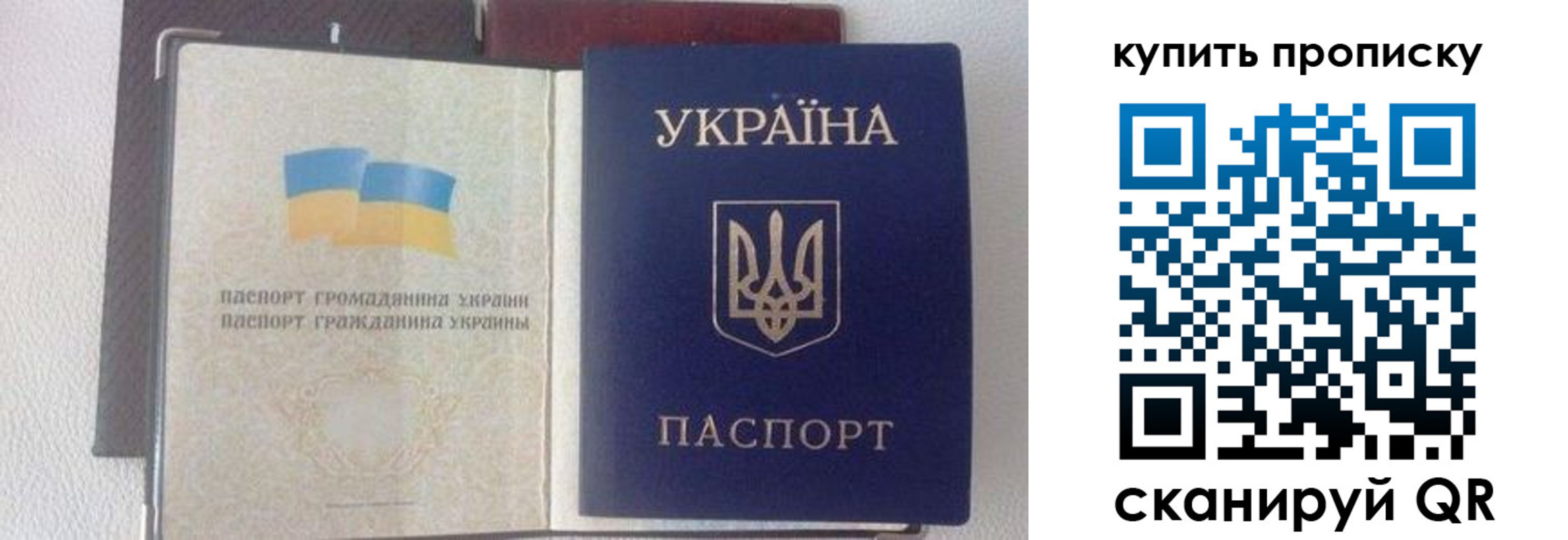 временная регистрация адрес в Амурской области